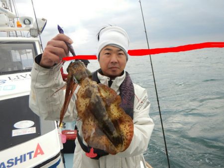 きずなまりん 釣果