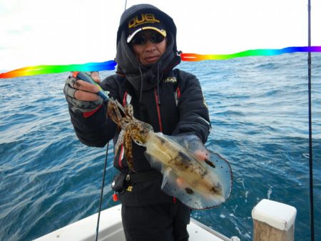 きずなまりん 釣果