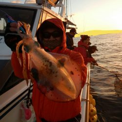 きずなまりん 釣果