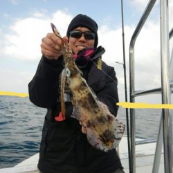 きずなまりん 釣果