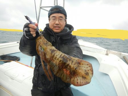 きずなまりん 釣果