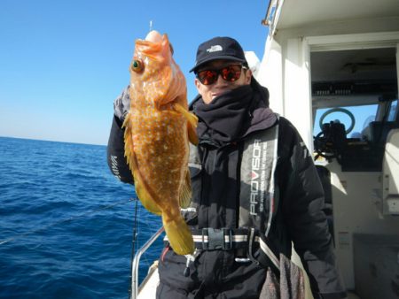 きずなまりん 釣果