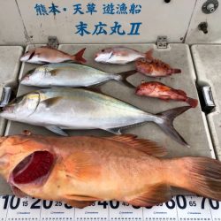 末広丸(熊本) 釣果