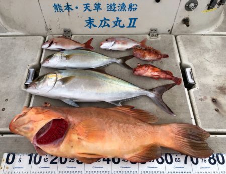 末広丸(熊本) 釣果
