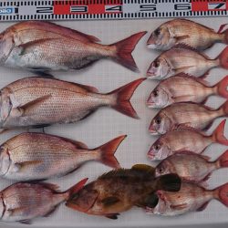 遊漁船 家入 釣果