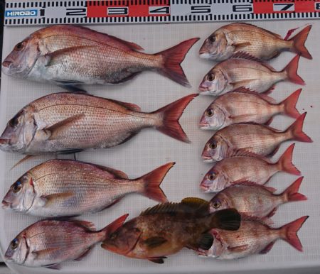 遊漁船 家入 釣果