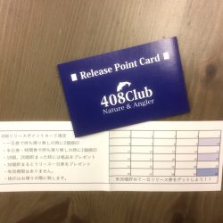 408Club 釣果