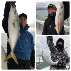 ビッグファイター 釣果