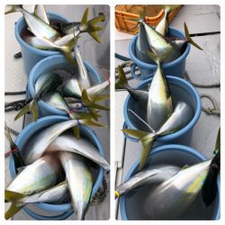 ビッグファイター 釣果