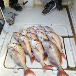 マリンガイド福丸 釣果