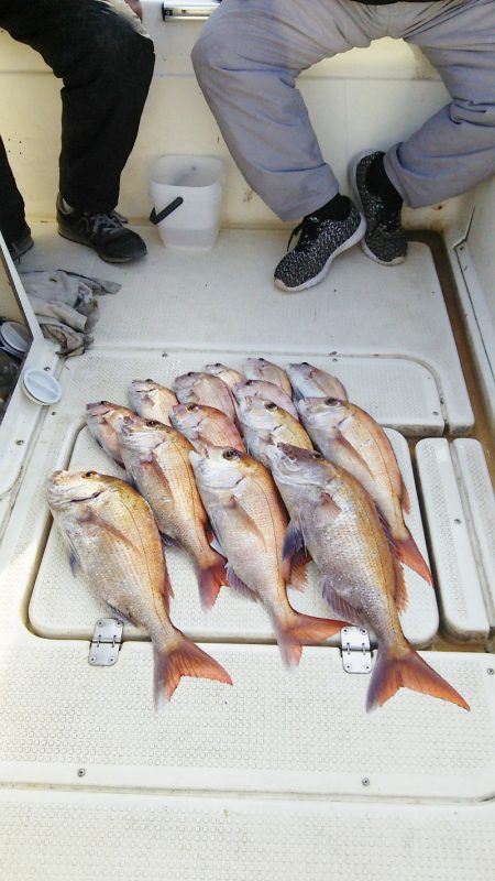 マリンガイド福丸 釣果