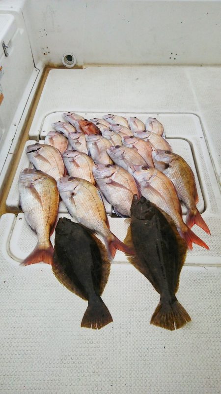 マリンガイド福丸 釣果