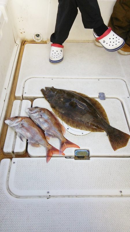 マリンガイド福丸 釣果