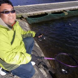 平谷湖フィッシングスポット 釣果