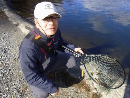 平谷湖フィッシングスポット 釣果