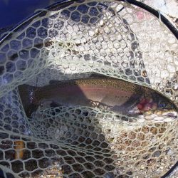 平谷湖フィッシングスポット 釣果