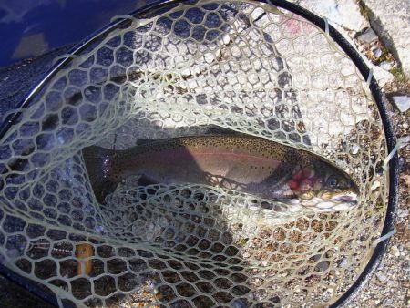 平谷湖フィッシングスポット 釣果