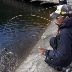 平谷湖フィッシングスポット 釣果