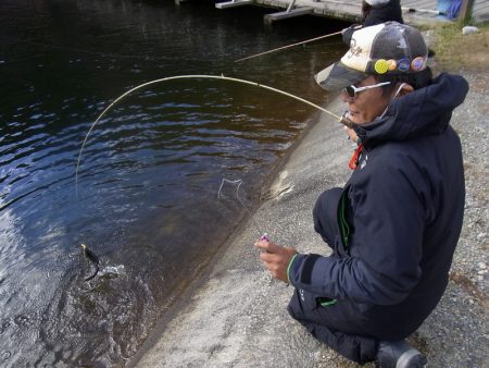 平谷湖フィッシングスポット 釣果