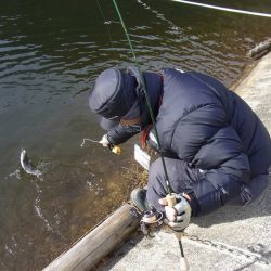 平谷湖フィッシングスポット 釣果