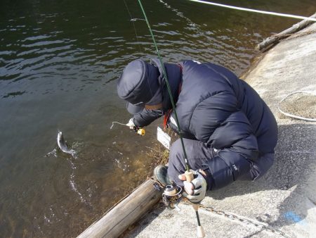 平谷湖フィッシングスポット 釣果