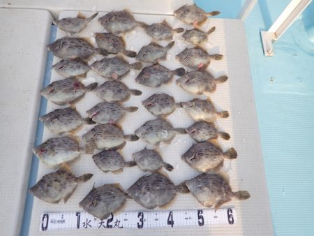 水天丸 釣果