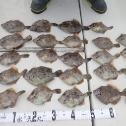 水天丸 釣果
