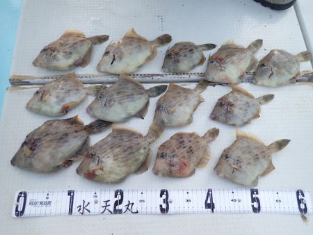 水天丸 釣果
