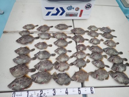 水天丸 釣果