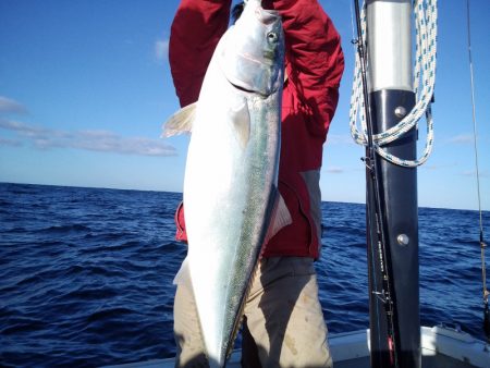 ひな丸 釣果