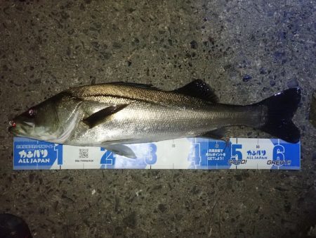 メガバス（Megabass）マキッパ　インプレッション　足場が高いポイントでも足元まできっちり巻けて◎