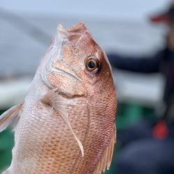 第三むつりょう丸 釣果