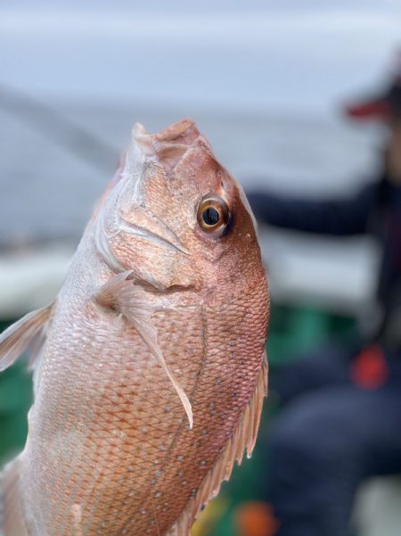 第三むつりょう丸 釣果