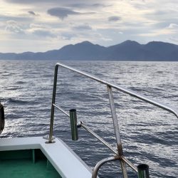 第三むつりょう丸 釣果