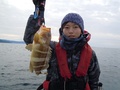 釣船 キティ 釣果