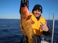 釣船　キティ 釣果