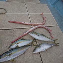 旭星釣りセンター 釣果