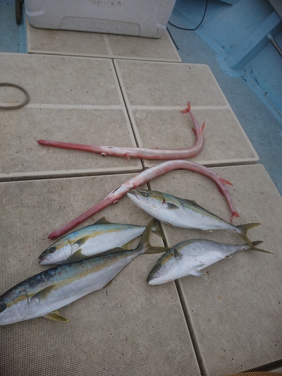 旭星釣りセンター 釣果