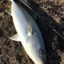 ヒラマサ102cm8.1kgで自己記録更新★長崎県北エリア青物狙い一本で地磯を釣り歩く！【ずん氏連載 vol.6】