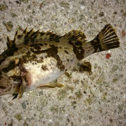 冬でも風裏を探せば