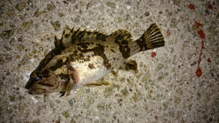 冬でも風裏を探せば