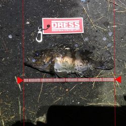 寒さを感じさせない楽しい釣行