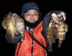 極寒爆風メバリング