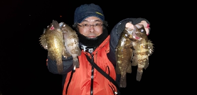 極寒爆風メバリング