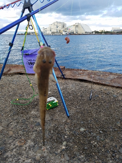 初釣行で・・・