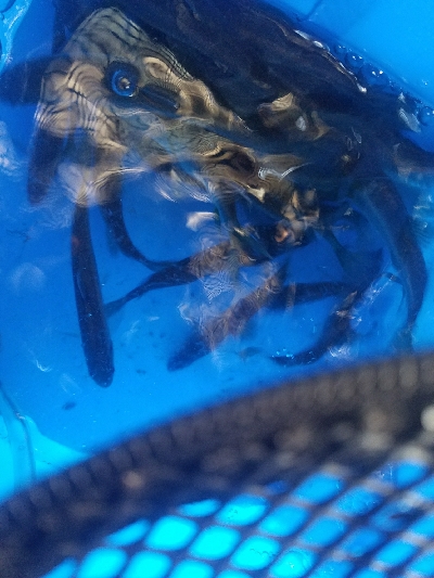 五目釣り ~冬はチョット釣りにくい~