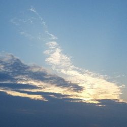 ガシラ釣り　～夕方に数が出た！～