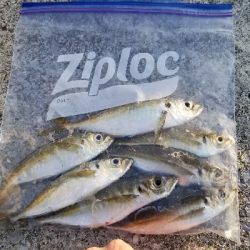 まだ居てました❗