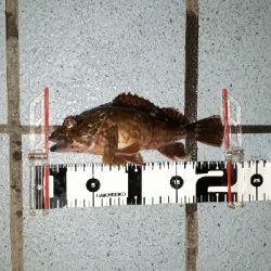 淡路島のポテンシャル２！