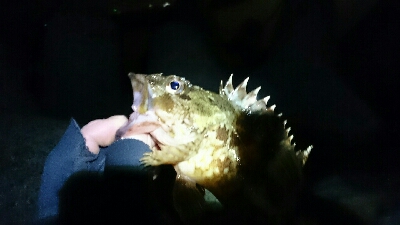 初釣り❕❕&#…